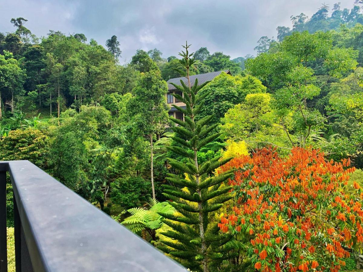 Harmony Valley Retreat Hotel Bukit Tinggi Exterior photo